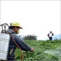 Agrochemicals & Pesticides