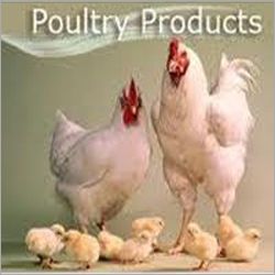 Poultry Feed